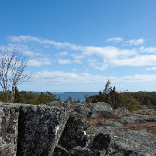 Uppe på Telegrafberget på Runmarö