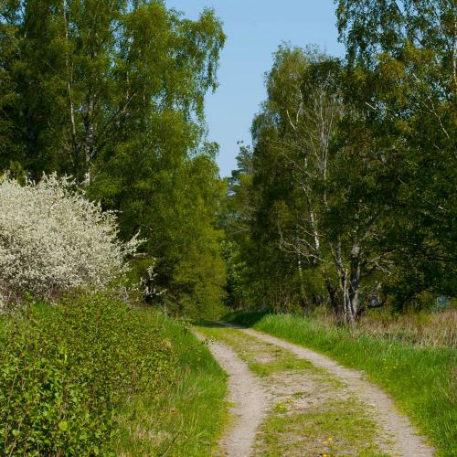 På Adelsö får man vila steget på lättvandrade traktorvägar