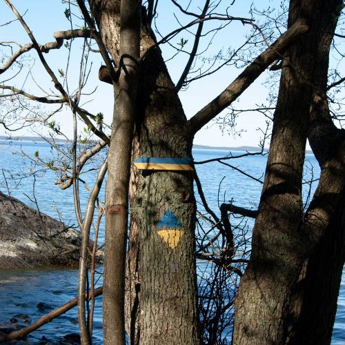 Utö runt är en välmarkerad, 15 km lång led på norra Utö