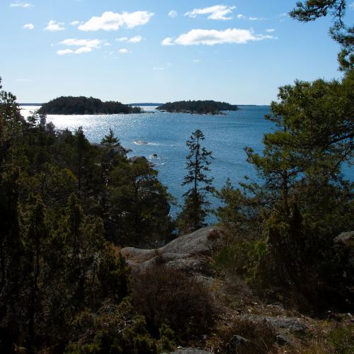 Björnö naturreservat