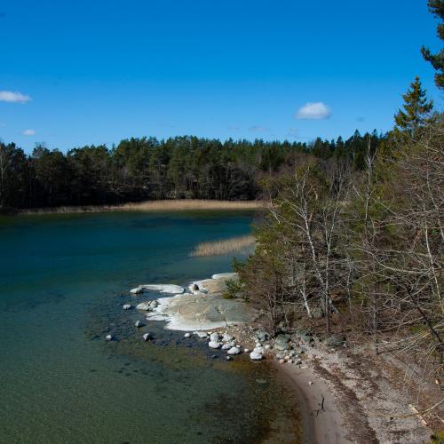 Den lilla stranden Torpeviken på Björnö naturreservat