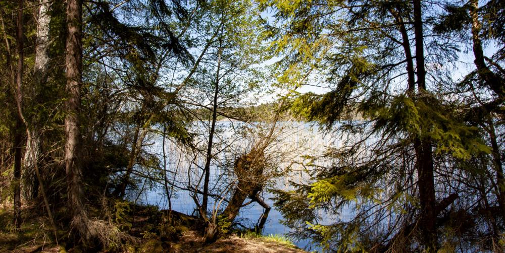 Låssaleden i Upplands-bro går med i skog men nuddar då och då Mälarens vatten