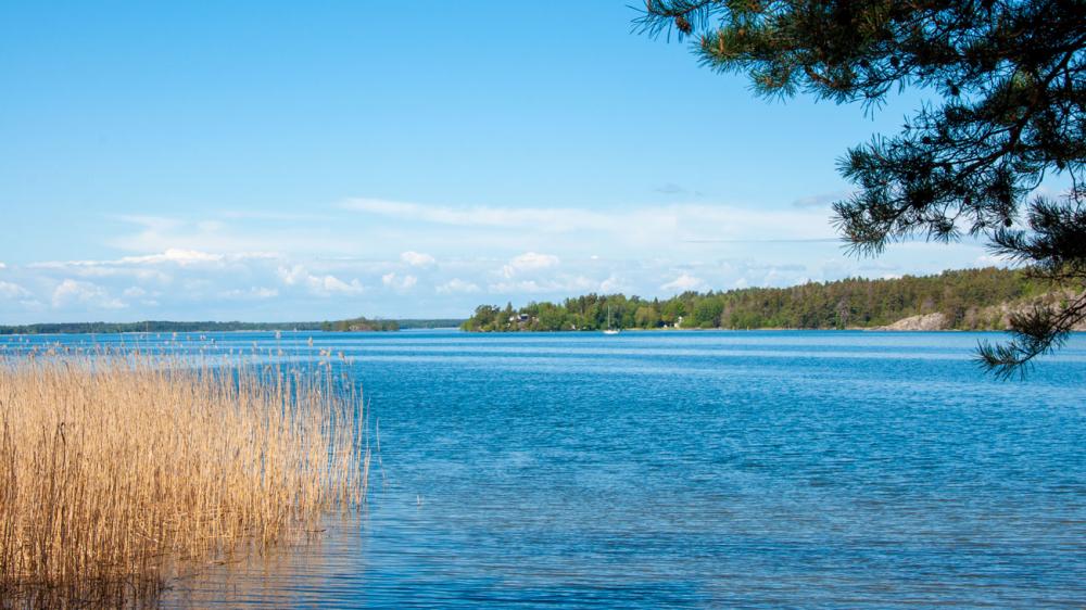 I Vållsvik längs med Låssaleden kan man bada