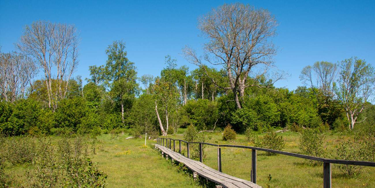 Riddersholms Naturreservat längst ut på Rådmansö är en pärla i Roslagen!