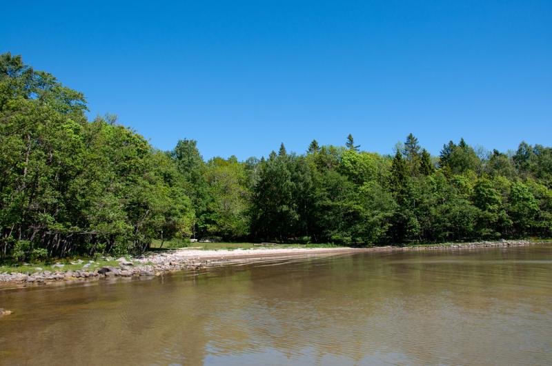 Mimmis vik i Riddersholms naturreservat är en perfekt plats för ett sommardopp