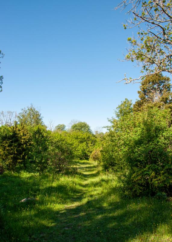 Vackra stigar i Riddersholms naturreservat