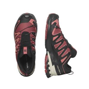 Salomon XA PRO 3D V9 GTX W's