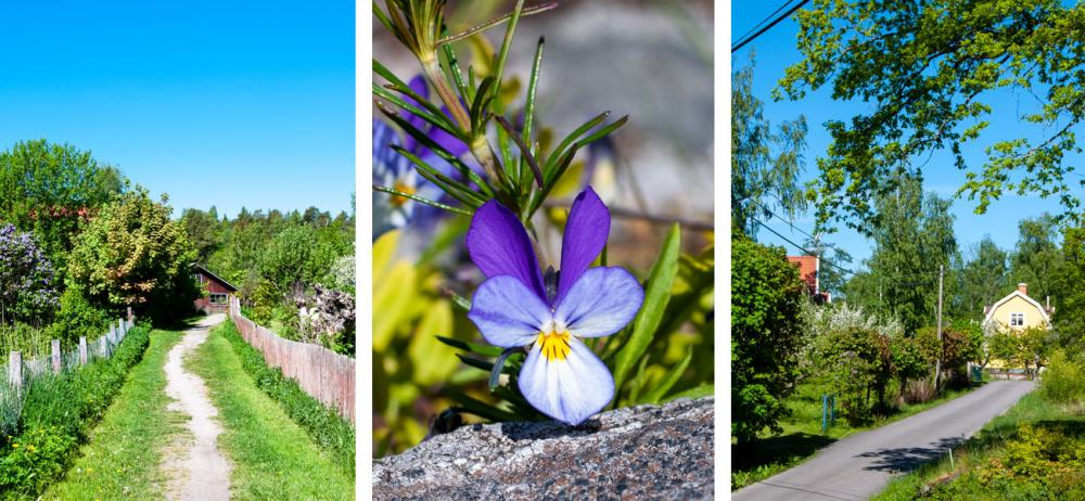 Sommarfint på leden Tynningö runt
