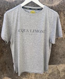 TSHIRT CLASSIC AMERICAN GREAY ACQUA LIMONE