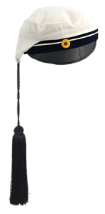 Teknologmössa + Tofs