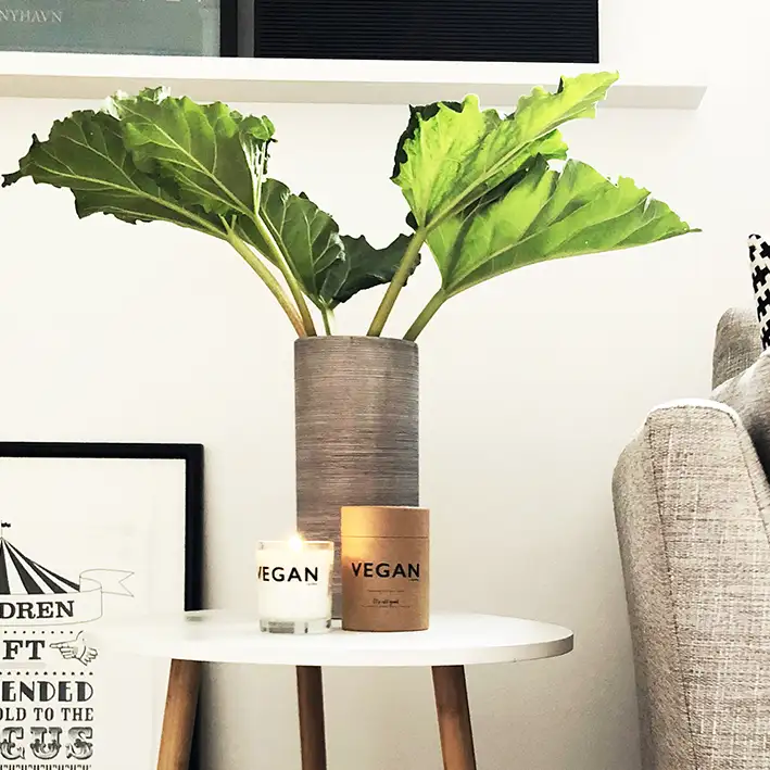 Eucalyptus & Peppermint