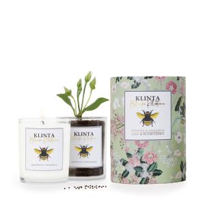 Bärnsten & Tonkaböna