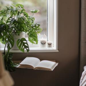 Doftljus & Massageljus Palo Santo