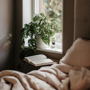 Doftpinnar 120 ml Palo Santo