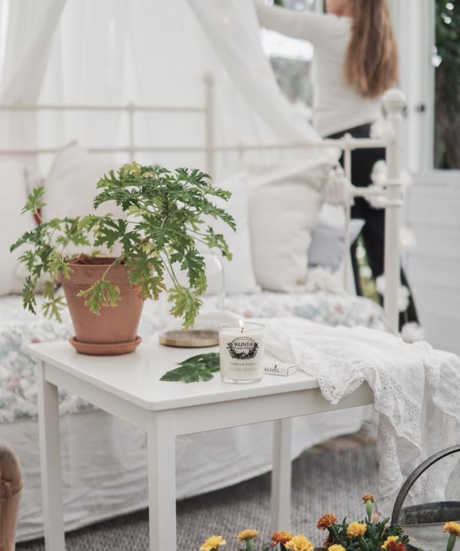 Wild Fig & Grape, 50ml Reeds