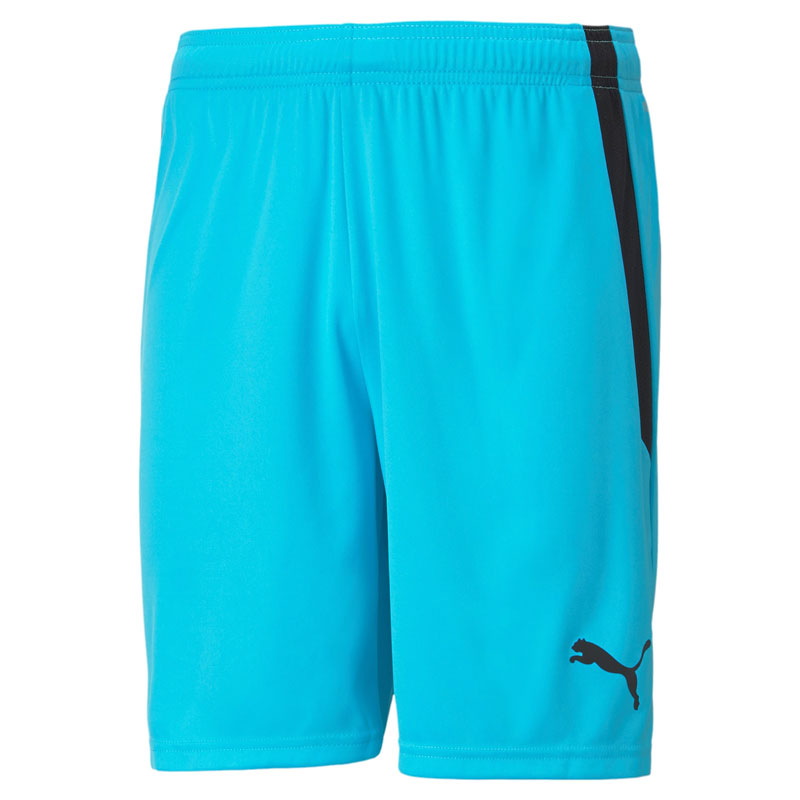 Puma Teamliga shorts ljusblå