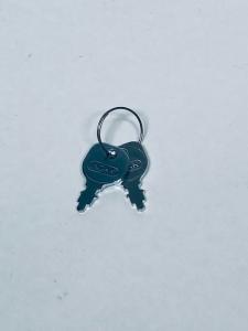 Startnyckel Bison 6000