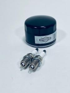Servicekit Bison 6000 - 100tim