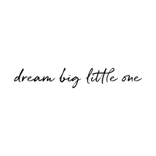 Stickstay - dream big little one