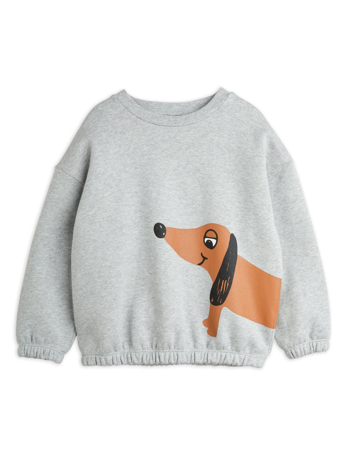 Dog, sweatshirt