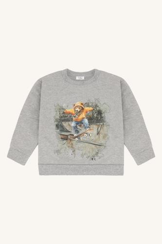 Sejer Skating Bear