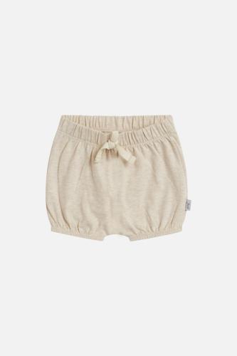 Hibo shorts