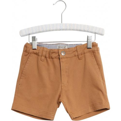 Chino Shorts Ditmer