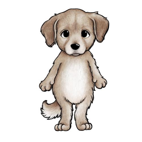 Golden retrievern Caramel - Wallsticker