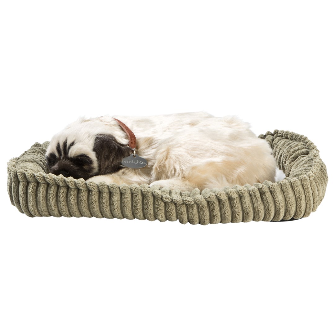 Perfect petzzz - Mops