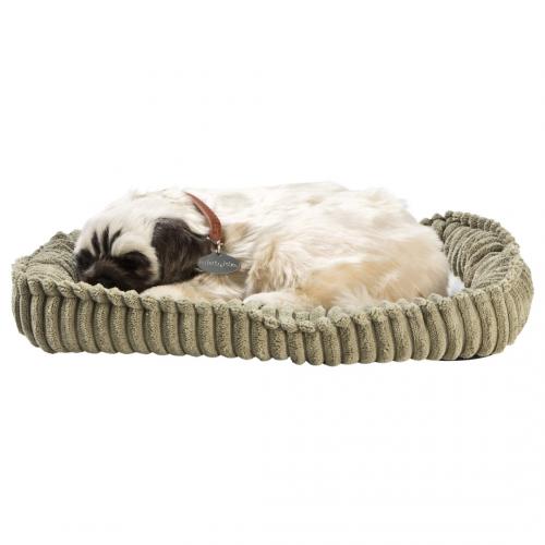 Perfect petzzz - Mops