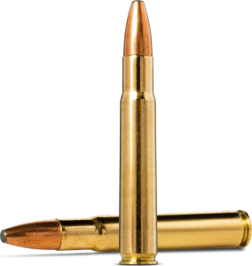 Norma .35 Wheelen Oryx 250gr/16,2g 20st