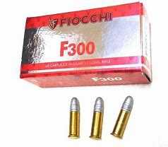 Fiocchi F300 .22LR