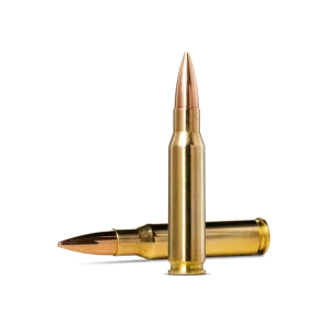 Norma .308win 175gr Golden Target