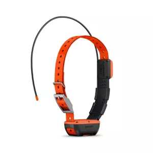 Garmin Alpha T20 Hundhalsband