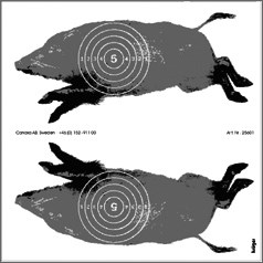 Luftgevärstavla med löpande vildsvin 250/fp 14x14cm