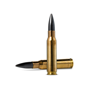 Norma .308win 168gr DL