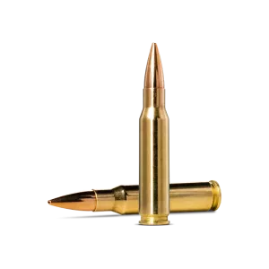 Norma .308win 155gr Golden Target