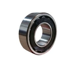 20204 TVP Sfäriskt Rullager