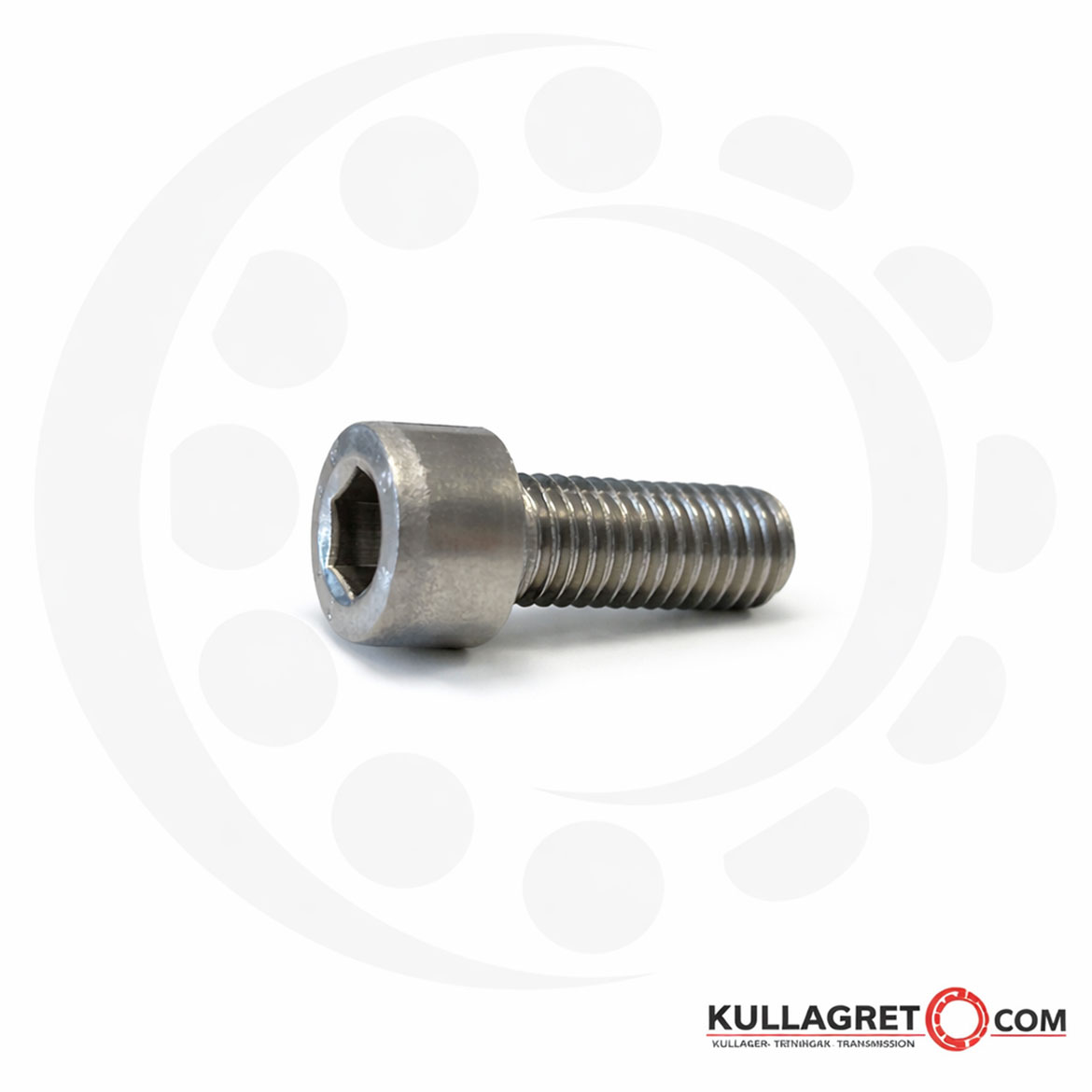 Insexskruv rostfri syrafast MC6S A4 M4X10 mm