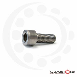 Insexskruv rostfri syrafast MC6S A4 M10X20 mm