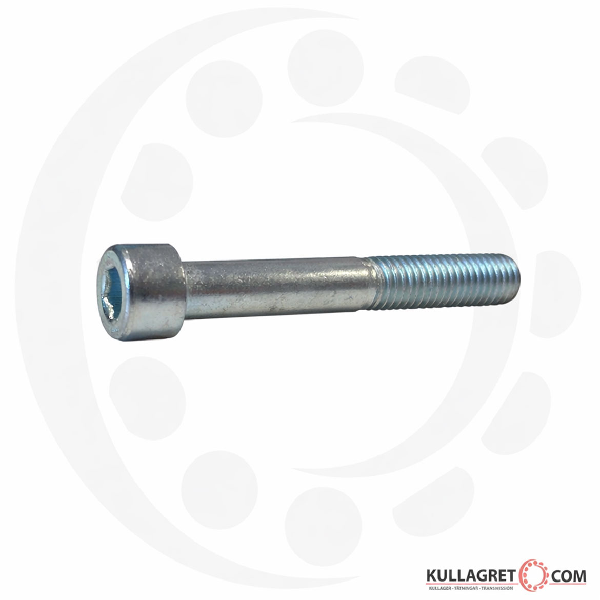 Insexskruv MC6S 8.8 FZB M12X100 mm