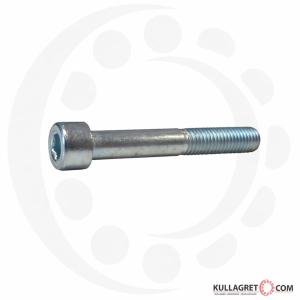 Insexskruv MC6S 8.8 FZB M10X100 mm