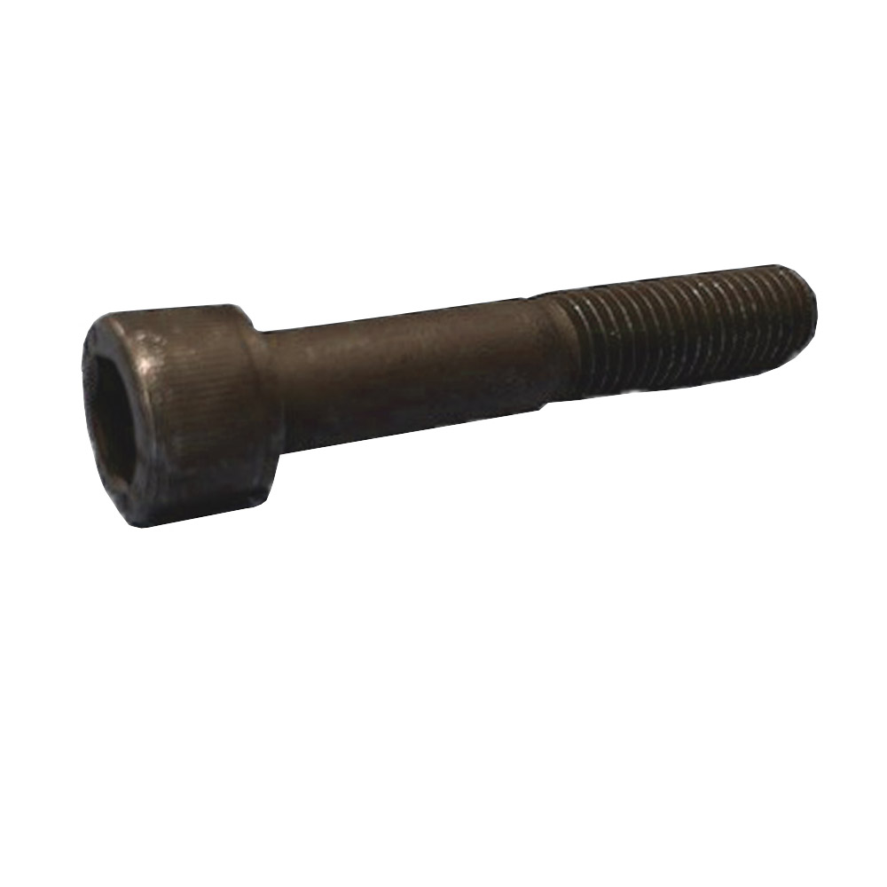 Insexskruv MC6S 12.9 M20x100 mm