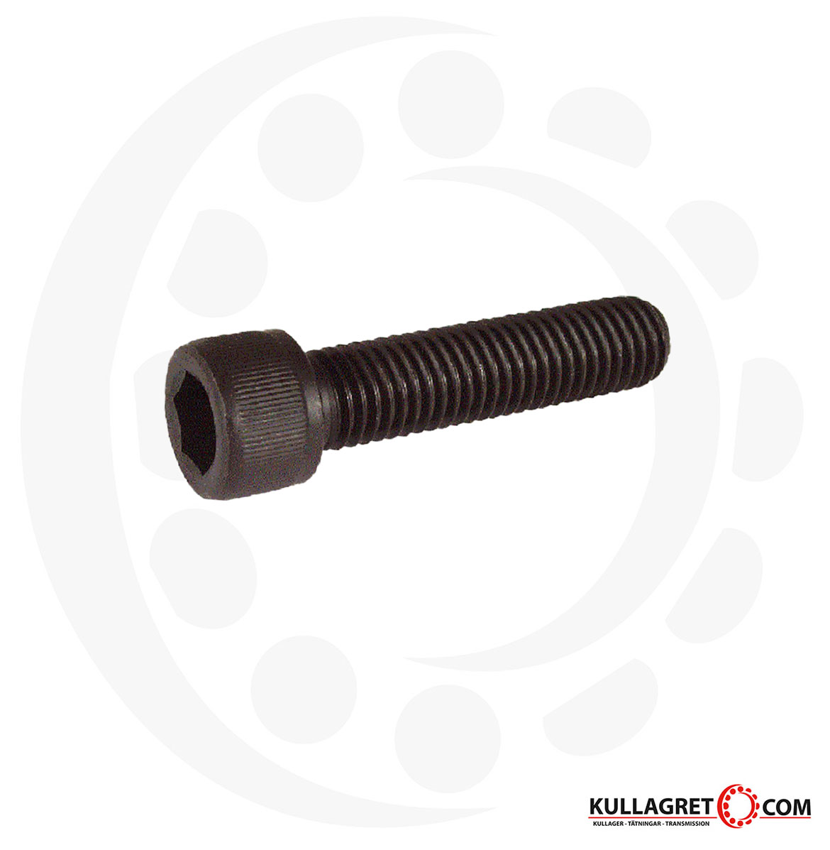 Insexskruv MC6S 8.8 OBEH M12X22 mm