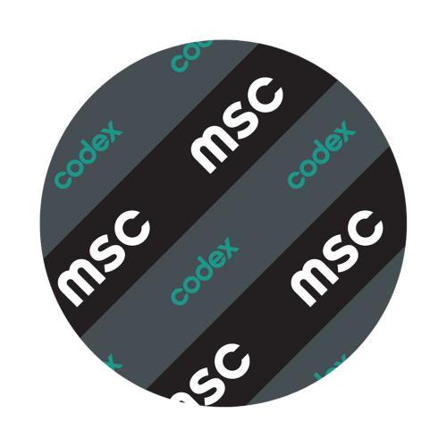 30205 Koniskt Rullager MSC EKONOMI