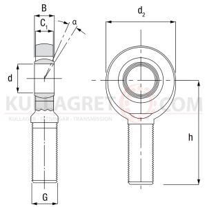 SA 25 C (M24x2) Länkhuvud Codex