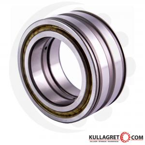 SL045009-PP Cylindriskt Rullager INA