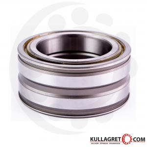 SL045009-PP Cylindriskt Rullager INA