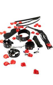 halsfängsel, ögonbindel, handbojor, piska, bondagerep, bröstklämmor samt en Gag-ball. från toyjoy