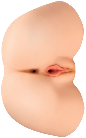 Stor och naturtrogen bakdel med skön vagina och anal.